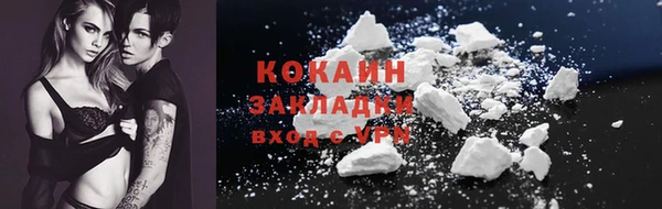 шишки Беломорск