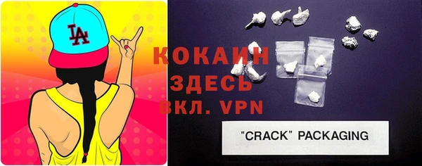 шишки Беломорск