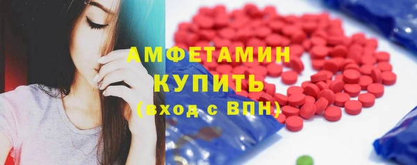 шишки Беломорск