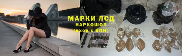 шишки Беломорск