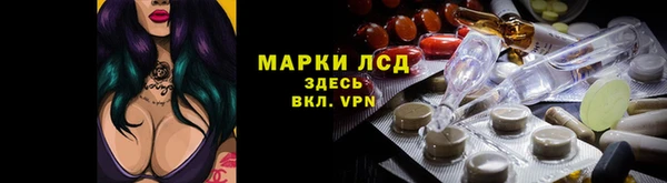 шишки Беломорск
