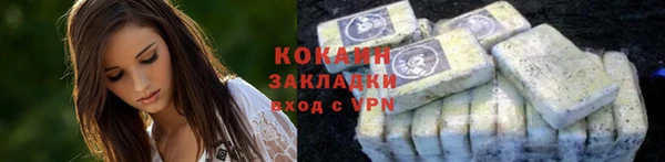 шишки Беломорск