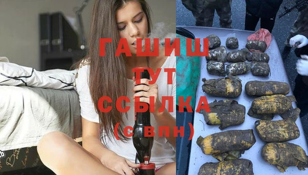 шишки Беломорск