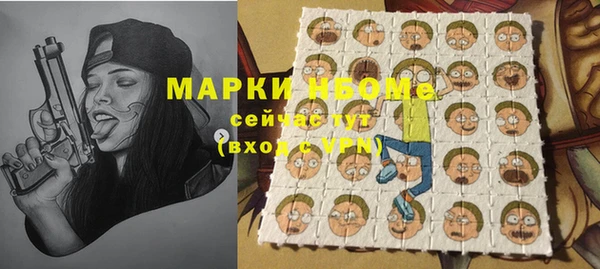 шишки Беломорск