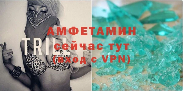 шишки Беломорск