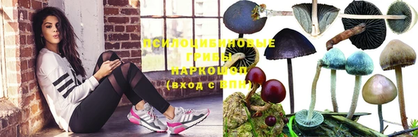 кокаин премиум Белокуриха