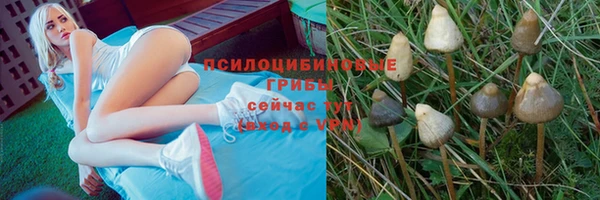 кокаин премиум Белокуриха