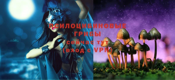 шишки Беломорск
